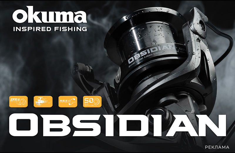 Obsidian